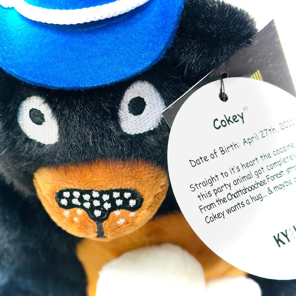 Stuffed Cokey The Bear - Image 3